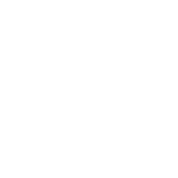 ce logo Bainbridge